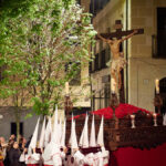 ZZZZZ YACENTE 2023_12430